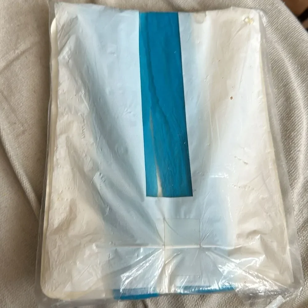Vintage Pantyhose Pink/Blue Color Queen Size NWT (New with Tags)